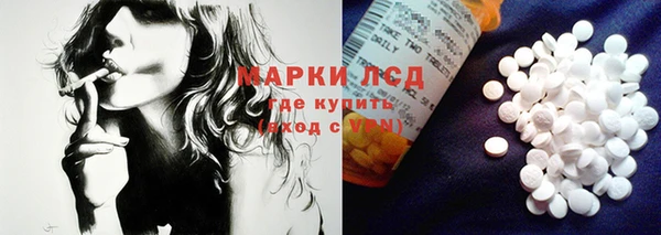прущие грибы Алексин