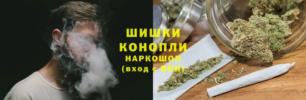 прущие грибы Алексин