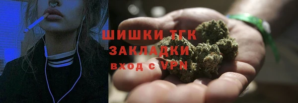 шишки Алзамай