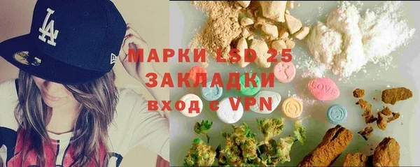 шишки Алзамай