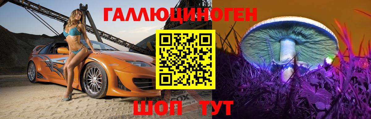 где найти   Псилоцибиновые грибы Cubensis  Вход с VPN  Одинцово 